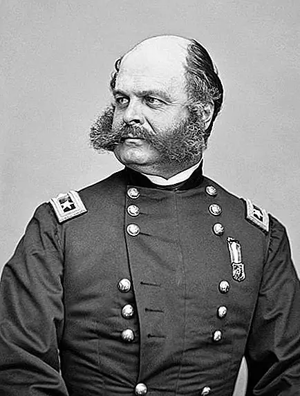 Почему бакенбарды названы так, как они