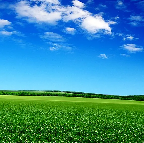 Почему небо голубое