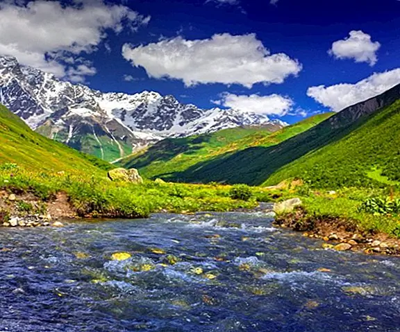 Почему белых людей иногда называют «кавказскими»