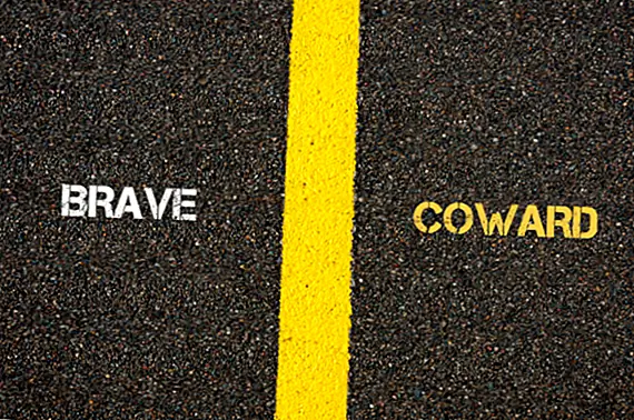 Почему «Желтый» может означать «Трусливый»