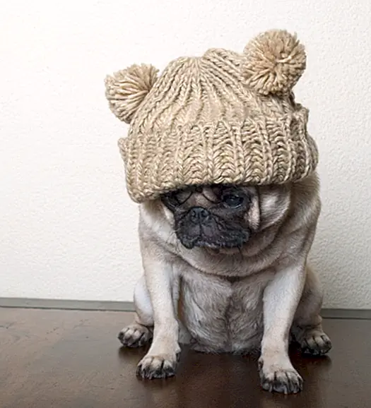 Почему вы иногда получаете комок в задней части своего горла, когда грустно и почему мы плачем?