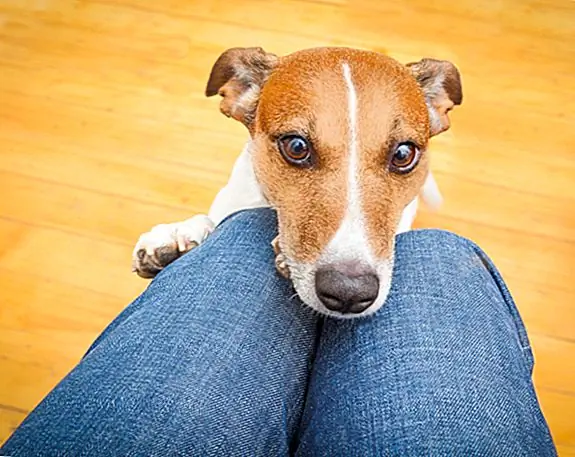 Почему ваш круг называется?