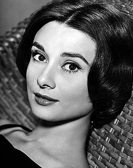 WWII-файлы: Одри Хепберн и голландское сопротивление