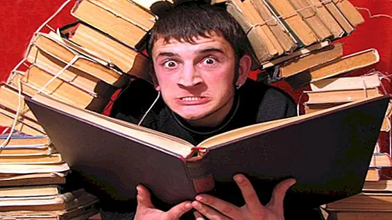 Действительно ли можно научиться ускоренному чтению, почему, как убивать в яичках, вызывает боль в животе, почему «рок-н-ролл» называется «тем и больше»