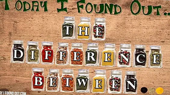 Разница между [Food Edition]