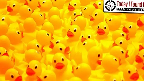 Кто является «Толстой Леди» и почему это закончилось, когда она поет, Происхождение резиновых уток, связанных с временем ванны, почему самая горячая часть лета называется собачьими