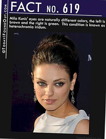  s_bukley / Shutterstock.com