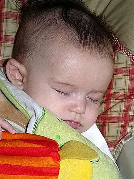 15 Быстрые факты сна