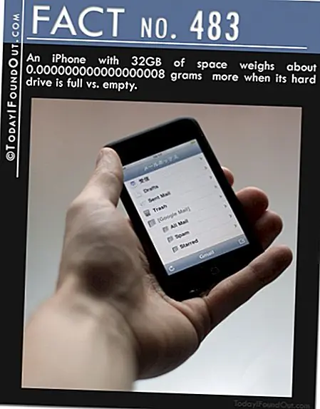  J. Henning Buchholz / Shutterstock.com