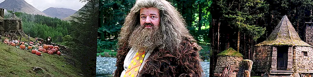 Фантастическая еда Гарри Поттера - блоггер