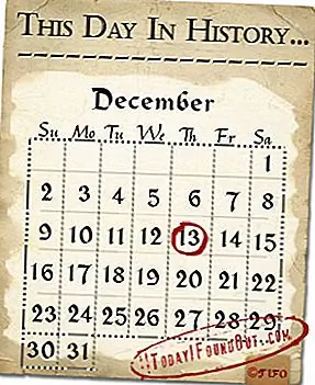 13 декабря: 22-месячная опухоль, а не младенец, как было принято, найдена у женщины, которая стала бы первой, чтобы выжить в области оофорэктомии