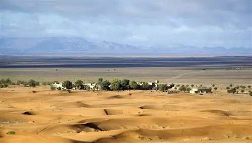 Оазис в пустыне Мерзуга