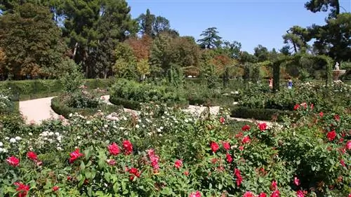 Мадридский ботанический сад