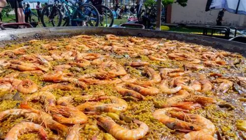 Паэлья в Кастельо.