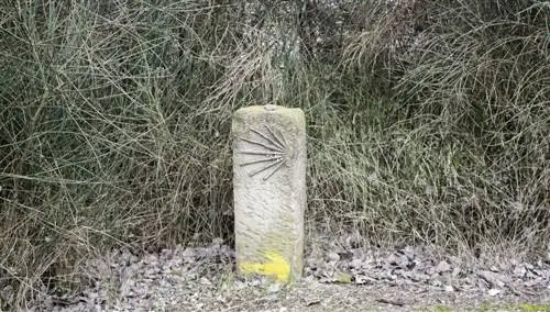 Деревня Камино де Сантьяго