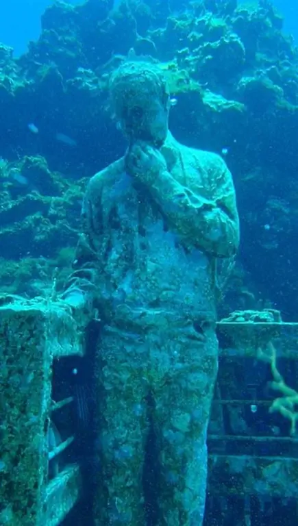 Коллекционер мечты. МУЗА.