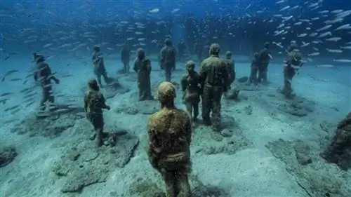 Это одни из лучших подводных музеев мира