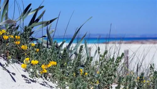 Форментера