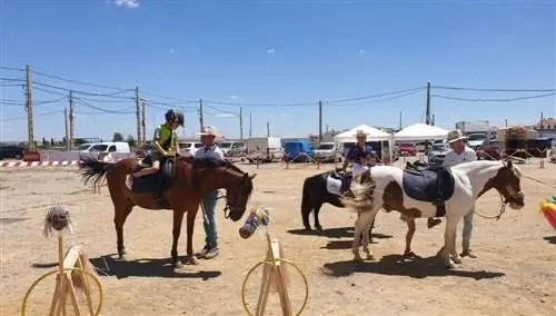 Диверсур
