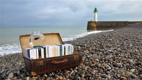 5 направлений для любителей литературы