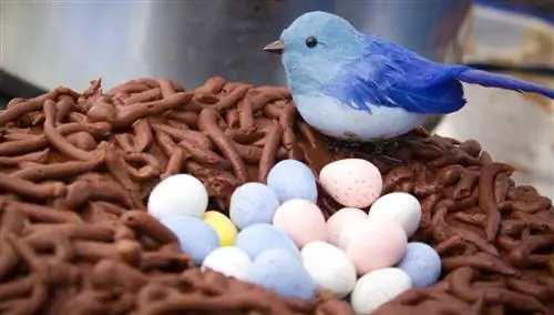 Пасхальное гнездо.