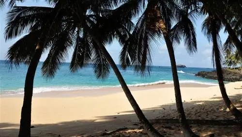 Сан-Томе и Принсипи. Пляж