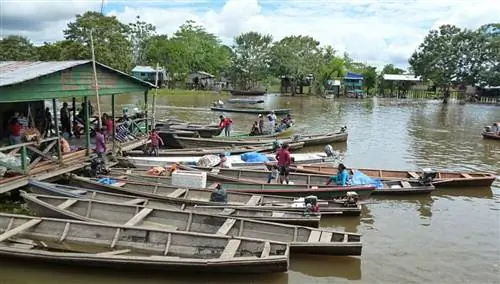 Порт Летисии. Колумбия