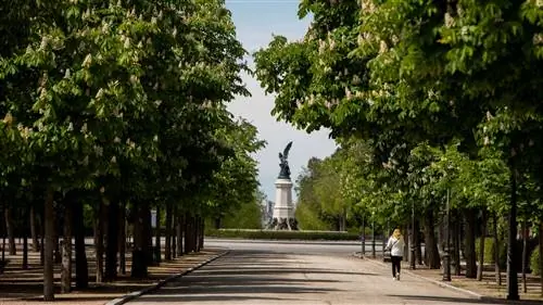 Парк Ретиро в Мадриде