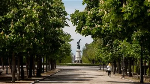 Семь испанских столиц выбраны в рамках программы европейских зеленых городов