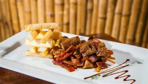 Ломо Сальтадо