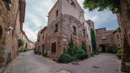 Монеллс