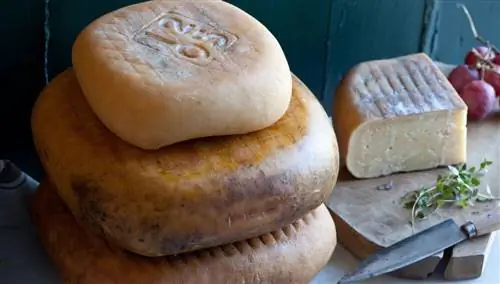 сыр Маон