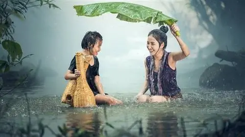 Это три самых дождливых места на планете