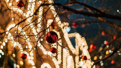 20 городов с лучшими рождественскими огнями в Европе и два в Испании