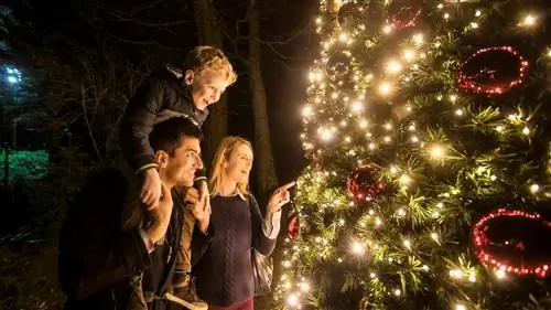 17 мест, которые стоит посетить на Рождество