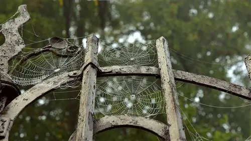 Хэллоуин, День мёртвых, День мёртвых Рассказываем, где будут отмечать смерть в ближайшие недели