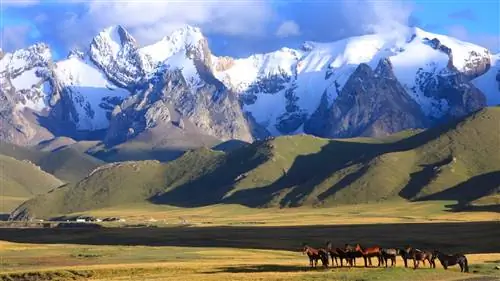 6 международных направлений для любого типа поездки