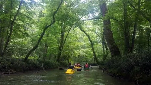 Птичий туризм в Турции