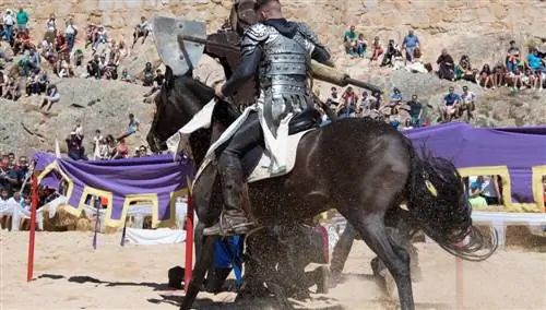 Сервантинский рынок. Турниры