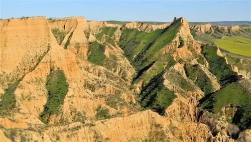 Борухон. Барранкас