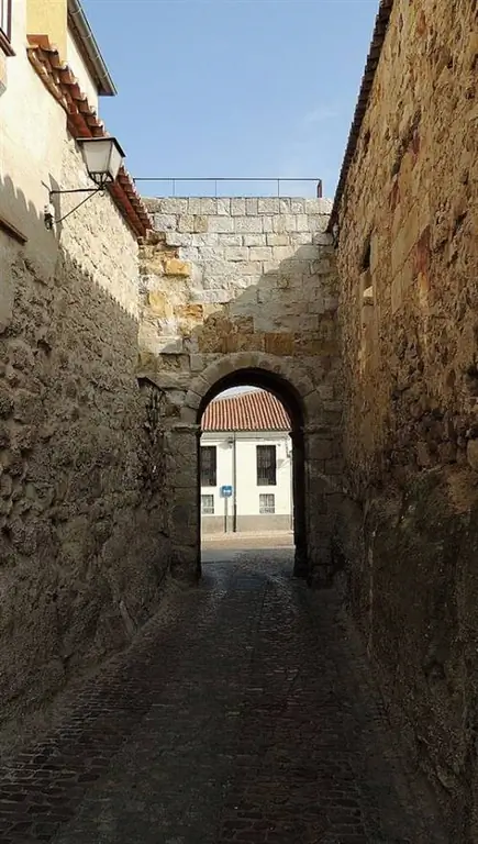 Дверь доньи Уррака де Самора