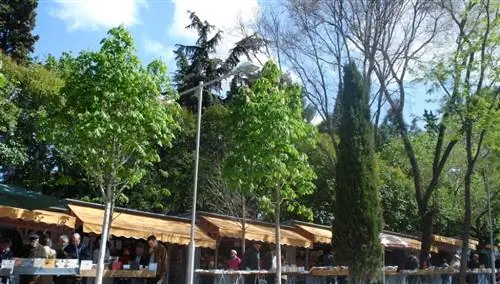 Склон Мояно