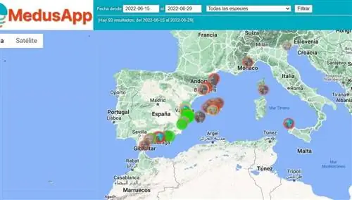 Карта медуз в Испании