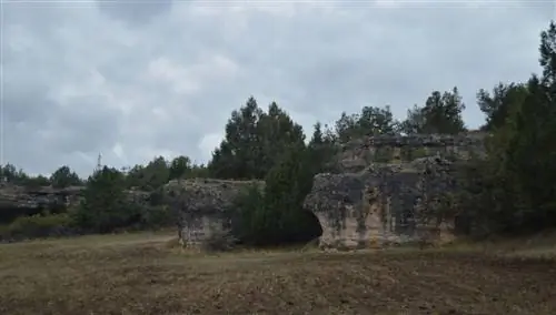 Тамахон, Кастилия-Ла-Манча