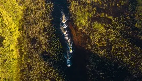 роскошное сафари