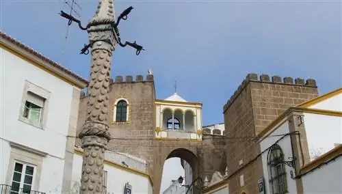 элвас элвас