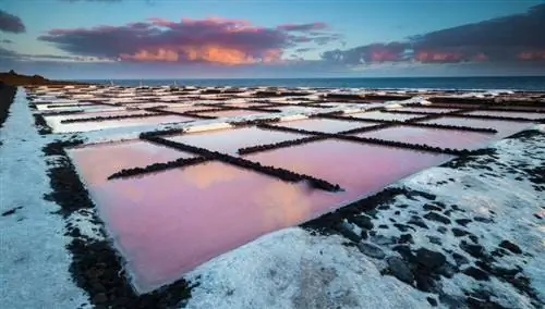 Солончаки Фуэнкальенте