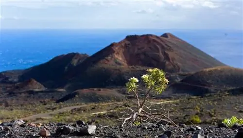 Фуэнкальенте