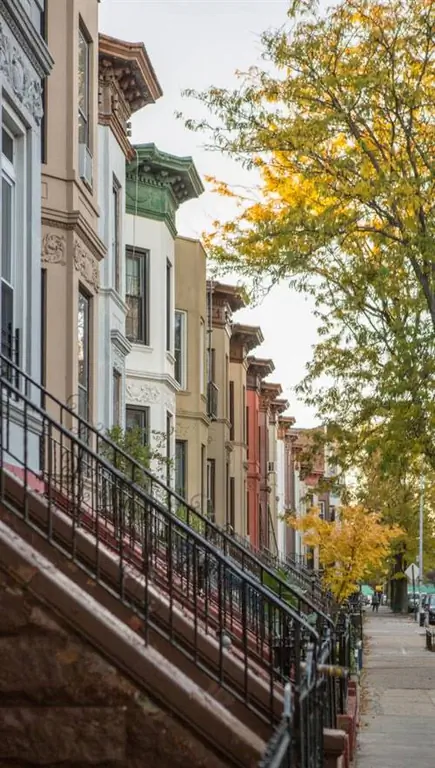 Краун Хайтс