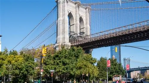 Это то, что вы не можете пропустить во время своего первого посещения нью-йоркского района Бруклина